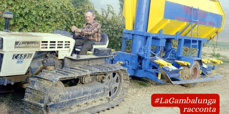 Ottobre 1977, Pedrolara di Coriano. L'agricoltore Vincenzo Conti alla guida del trattore che traina la vendemmiatrice semi-automatica "Pantera Riminese" (Foto D. Minghini)