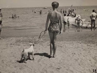 1951. Un amico a quattro zampe che cerca di capire (sezione Chic&Chic) fotografia di Angelo Moretti da album Estate 1951 (afp_2632) 