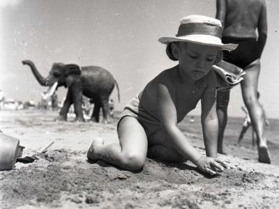 1959. Apparizioni bizzarre in spiaggia (sezione Tipi e riti) fotografia di D. Minghini (MIN_16796)